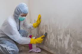 Best Emergency Mold Remediation  in Carrington, ND